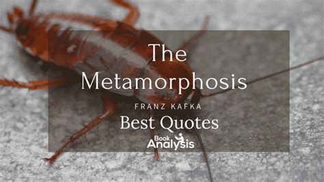 He is the protagonist of the story. . Important quotes from metamorphosis part 1